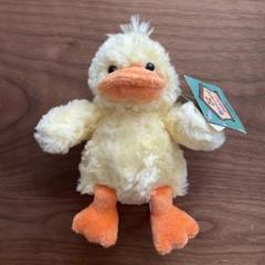 Bestever ベストエバー ひよこのぬいぐるみ Daphne m81116054253_1.jpg?1749191233