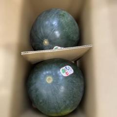 0153千葉県産富里大玉スイカブラックジャック規格外品5Lサイズ1