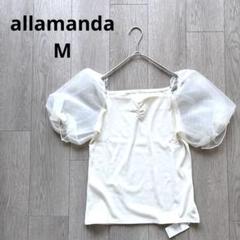 タグ付き アラマンダ リブカットソー パフスリーブ ドット 袖シアー M