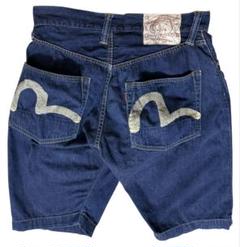 EVISU Lot2001 ハーフパンツ ストライプ 道楽 W34 デニムパンツ Lot.2001 ハーフ カモメ ペイント ボタンフライ 34