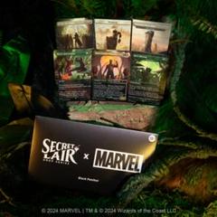 2025年最新】SECRET lair marvelの人気アイテム - メルカリ