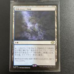 汚染された三角州　拡張　フルアート PLD](フルアート)汚染された三角州/Polluted Delta《日本語》【ZNE】