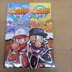 実況パワフルプロ野球14 &実況パワフルプロ野球Wii選手育成パーフェクトガイド
