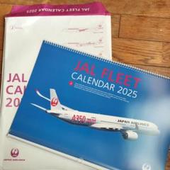 JAL FLEET CALENDAR 2025 カレンダー 日本航空 - メルカリ
