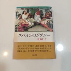 スペインのジプシー 近藤仁之著　人文書院