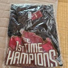 【レア】楽天イーグルス クリネックススタジアム宮城 2013 ジオラマ 優勝記念 レア】楽天イーグルス クリネックススタジアム宮城 2013