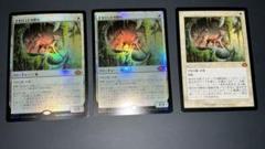 オセロットの群れ Ocelot Pride 3枚 (FOILx2枚、通常x1) オセロットの群れ Ocelot Pride 3枚 (FOILx2枚、通常x1) - メルカリ