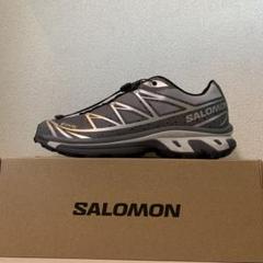サロモン XT-6 GORE-TEX atmosコラボ29.0cm