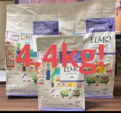 ELMO 成猫用ドライフード4.8kg✖️2 Amazon | 【成猫用 イタリア製キャットフード 2kg】ELMO エルモ