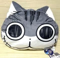 Amazon.co.jp: 夜は猫といっしょ クッション : ホーム＆キッチン