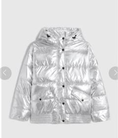 美品✴︎GAP ダウン パーカー メタリック シルバー 2025年最新】gap ダウンジャケット シルバーの人気アイテム