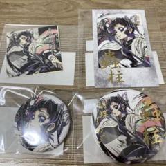 鬼滅の刃 WEBSHOPくじ 幕間画集 胡蝶しのぶ E賞 F賞 缶バッジ　13点 鬼滅の刃 幕間画集表紙 WEBSHOPくじ 胡蝶しのぶ 缶バッジ チェキ