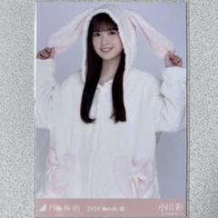 乃木坂46 生写真 小川彩 アニマルルームウェア コンプ 乃木坂46 小川彩 アニマルルームウェア チュウ - メルカリ