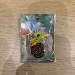 2025年最新】ポケモンセンター ピンズの人気アイテム - メルカリ