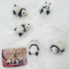 ふちやすみパンダ 全5種コンプリート