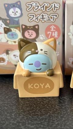 BT21 SHOOKY シュキ CAT DAY マスコット 猫 ネコ ねこ 白 - メルカリ