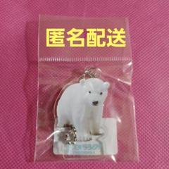 ズーラシア ホッキョクグマ ライくん ダイカットアクリル