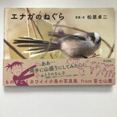 鳥写真集 エナガのねぐら
