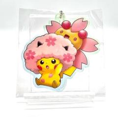 ピカチュウ 8枚セット まとめ オーヤマ メガトウキョー イースター　(23) メガトウキョーのピカチュウ(204/XY-P) | プロモ | ドラゴン