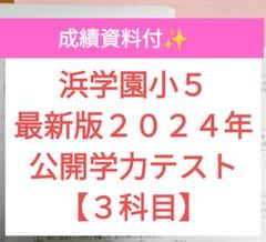 浜学園　小５　コンプリートセット 2025年最新】浜学園公開テスト小5の人気アイテム - メルカリ