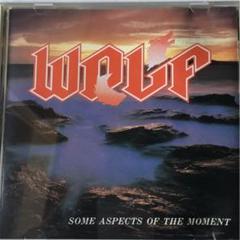 WOLF 廃盤CD「SOME ASPECTS OF THE MOMENT」