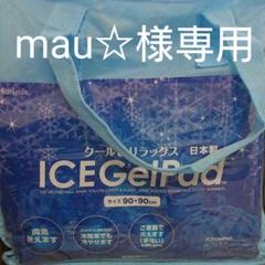 西川 アイスジェルパット