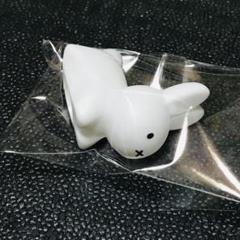 うさぎ　ブルーナ