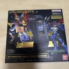 柳*魚様 VITAL BRACELET BE 特別選択セット Vital Bracelet BE - DIGITAL MONSTER SPECIAL SELECTION SET