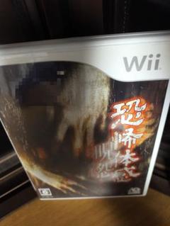 ★動作確認済★説明書あり【恐怖体感 呪怨】✧︎Wii✧︎写真ご覧ください✩.*˚