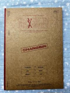 straykids チャンビン maxident CASEver.