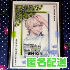 【匿名配送】グラショ ビジュカ シオン