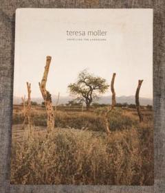 アート・デザイン・音楽 Teresa Moller Unveiling the landscape Navigating Punta Pite's craggy coastline with architect