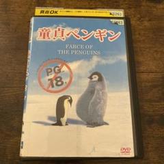 童貞ペンギン DVD レンタル落ち 洋画 - メルカリ