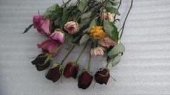 ドライフラワー 薔薇