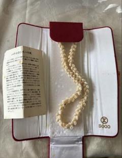 即購入可能❤️ハワイニイハウシェルネックレスSOGO 首輪