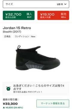 【美品】AIR JORDAN XV 29cm
