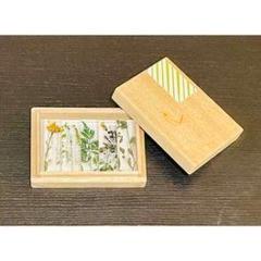 標本箱　2箱 T-WOOD | 昆虫標本箱（ドイツ箱）・収納庫専門店