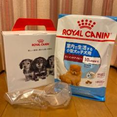 ロイヤルカナン 小型犬の子犬用 800g