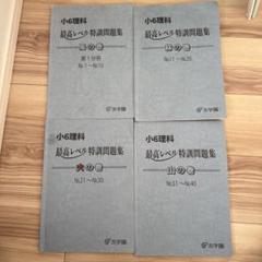 小6理科 最高レベル特訓問題集 全4巻 風林火山 2025年最新版 小6理科 最高レベル特訓問題集 全4巻 風林火山 2025年最新版