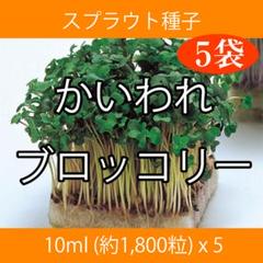 スプラウト種子 S-01 かいわれブロッコリー 10ml x 5袋