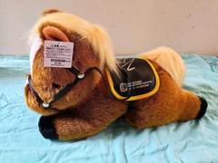 【非売品】JRA競走馬「特大ぬいぐるみ」戸崎圭太ジョッキー直筆サイン入競馬グッズ 2025年最新】競馬 サイン ぬいぐるみの人気アイテム - メルカリ