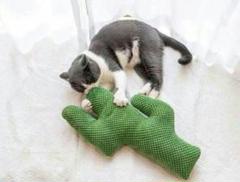 サボテン猫ミントおもちゃ抱き枕臼歯磨爪神器ストレス防止猫おもちゃ猫おもちゃj