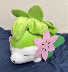 シェイミ ぬいぐるみ Amazon.co.jp: ポケモンセンターオリジナル ぬいぐるみ Pokémon