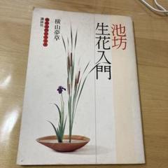 池坊　生花入門 横山夢草 講談社