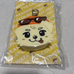 岩田剛典 ロッキー ミニケース 美品