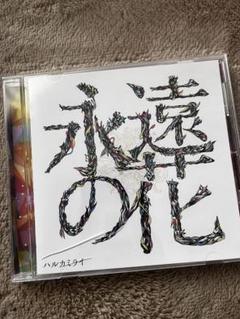 希少　ハルカミライのCD another 希少 ハルカミライのCD another