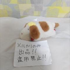 どんぐり共和国　ヒンぬいぐるみ（中古） 2025年最新】どんぐり共和国 ヒンの人気アイテム - メルカリ