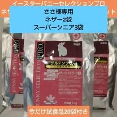 2025年最新】バニーセレクション ネザーランドドワーフの人気