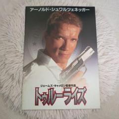 ①【映画パンフレット】まとめ　10冊　洋画　シュワルツェネッガー　等々 2025年最新】アーノルドシュワルツェネッガー本の人気アイテム