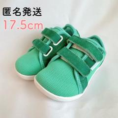 新品✨ホビベアー キッズシューズ スニーカー マジックテープ 緑 17.5㎝